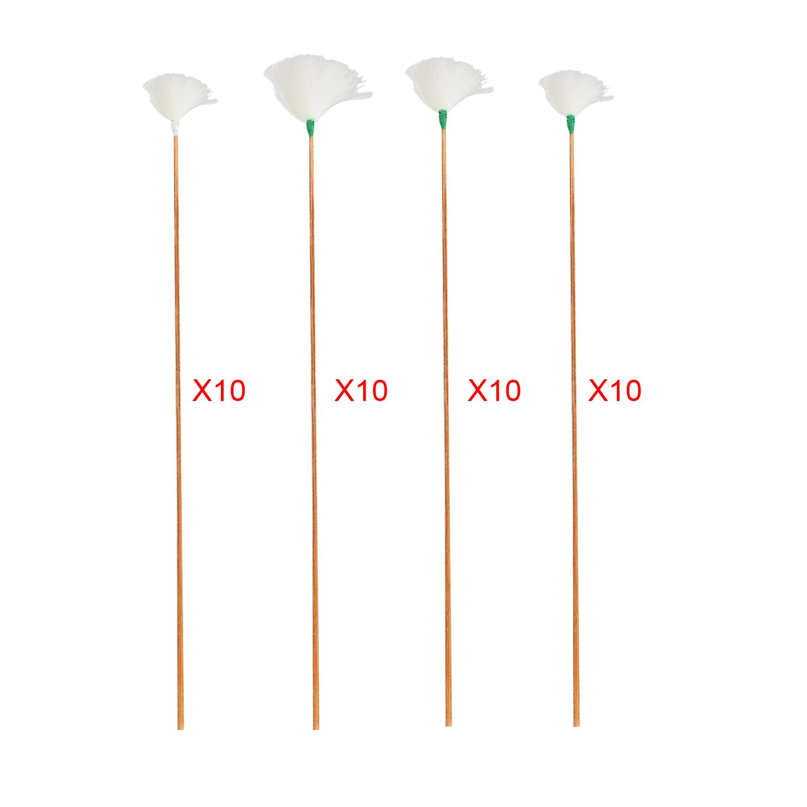 Ear Wax Remover - Cure-oreilles en plumes avec manche en
