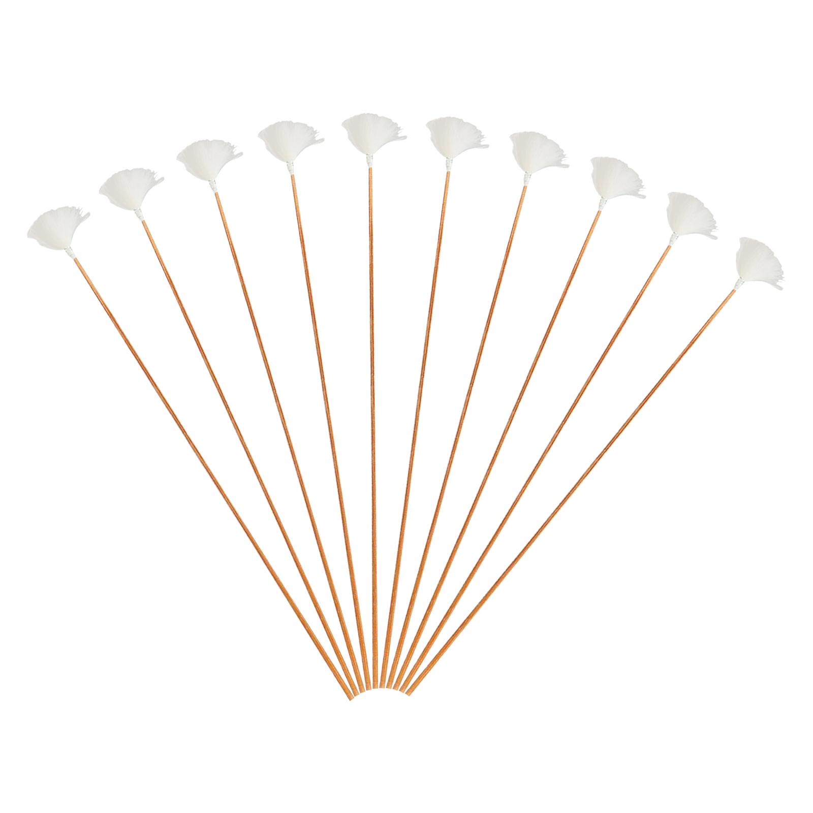 Cure-oreilles en plumes avec m - Ear Wax Remover avis et prix
