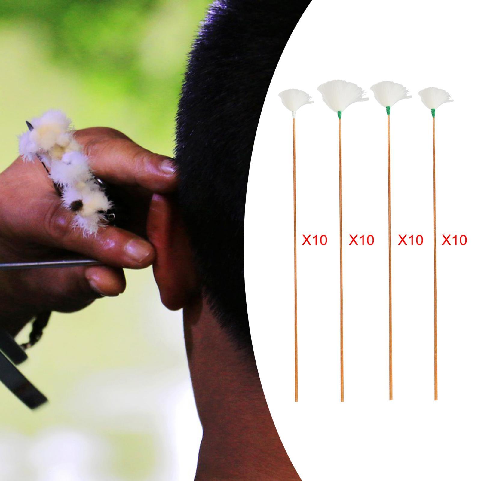 Cure-oreilles en plumes avec m - Ear Wax Remover avis et prix